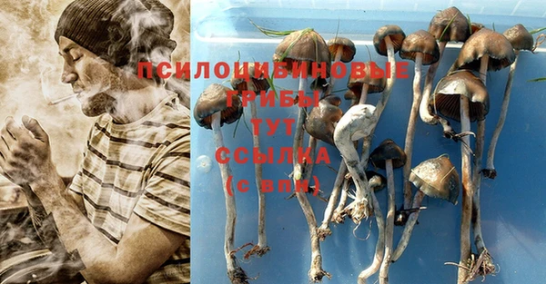 прущая мука Липки