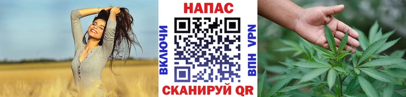 Купить где Кирсанов Каннабис Ganja
